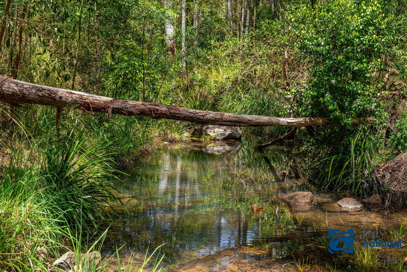 Additional image 16 of Lot 8 Long Gully Road, Drake NSW 2469