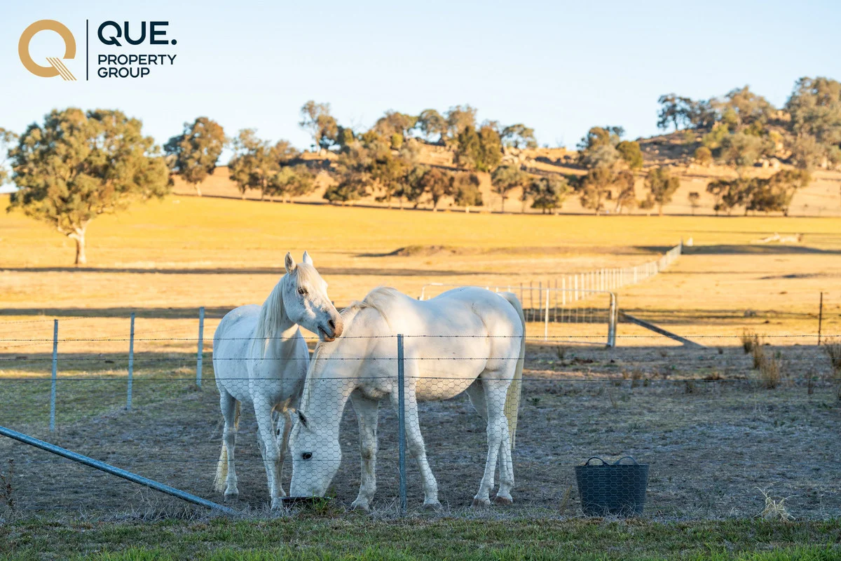 Additional image 26 of 624 Dights Forest Road, Table Top NSW 2640