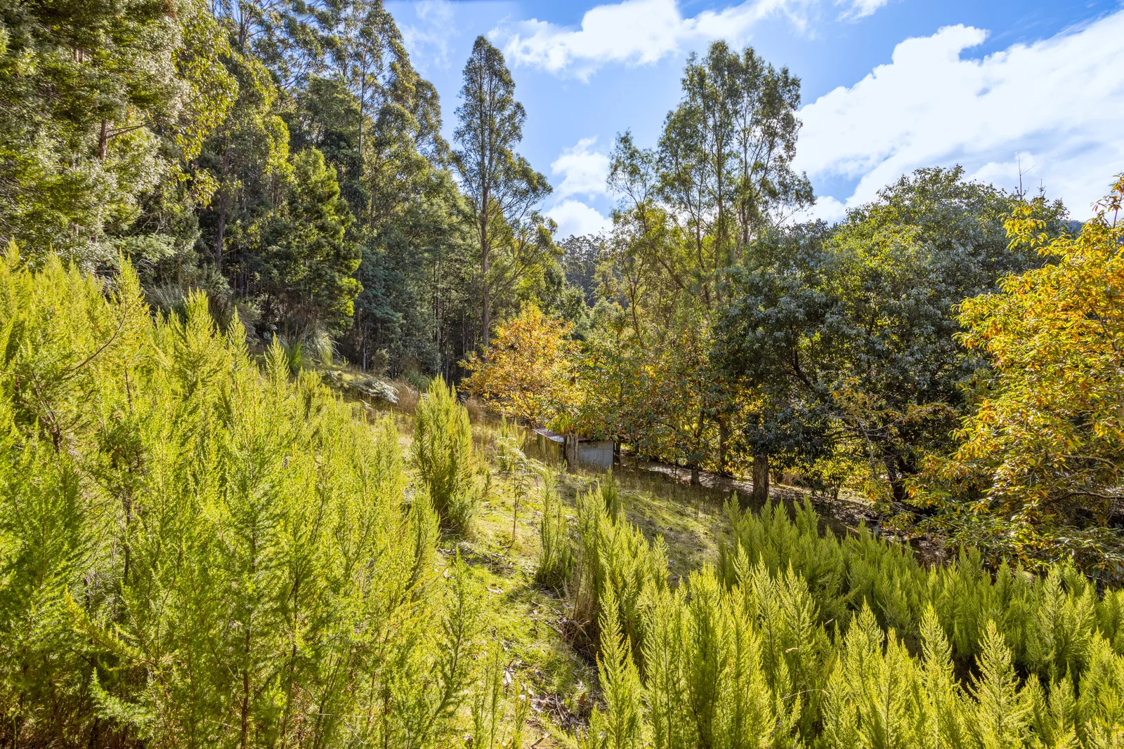 Additional image 16 of 1 Smiths Road, Nicholls Rivulet TAS 7112