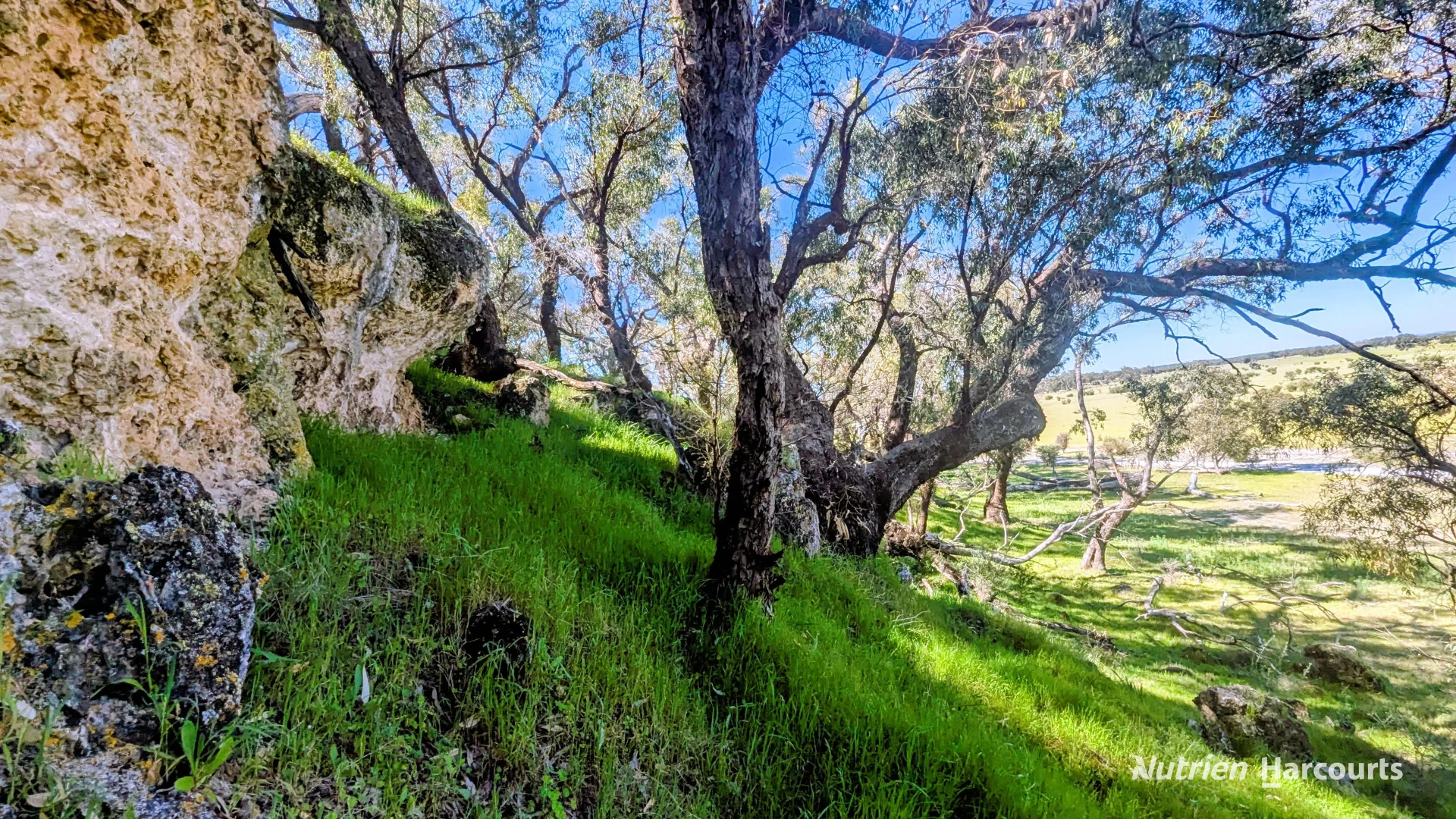 Additional image 16 of Lot 51 Millbank Road, Cowalla WA 6503