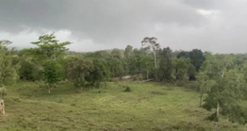 Additional image 23 of 104 Mount Ossa Seaforth Road, Mount Ossa QLD 4741