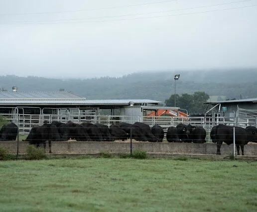 Additional image 9 of 119 Duck Creek Road, Old Bonalbo NSW 2469