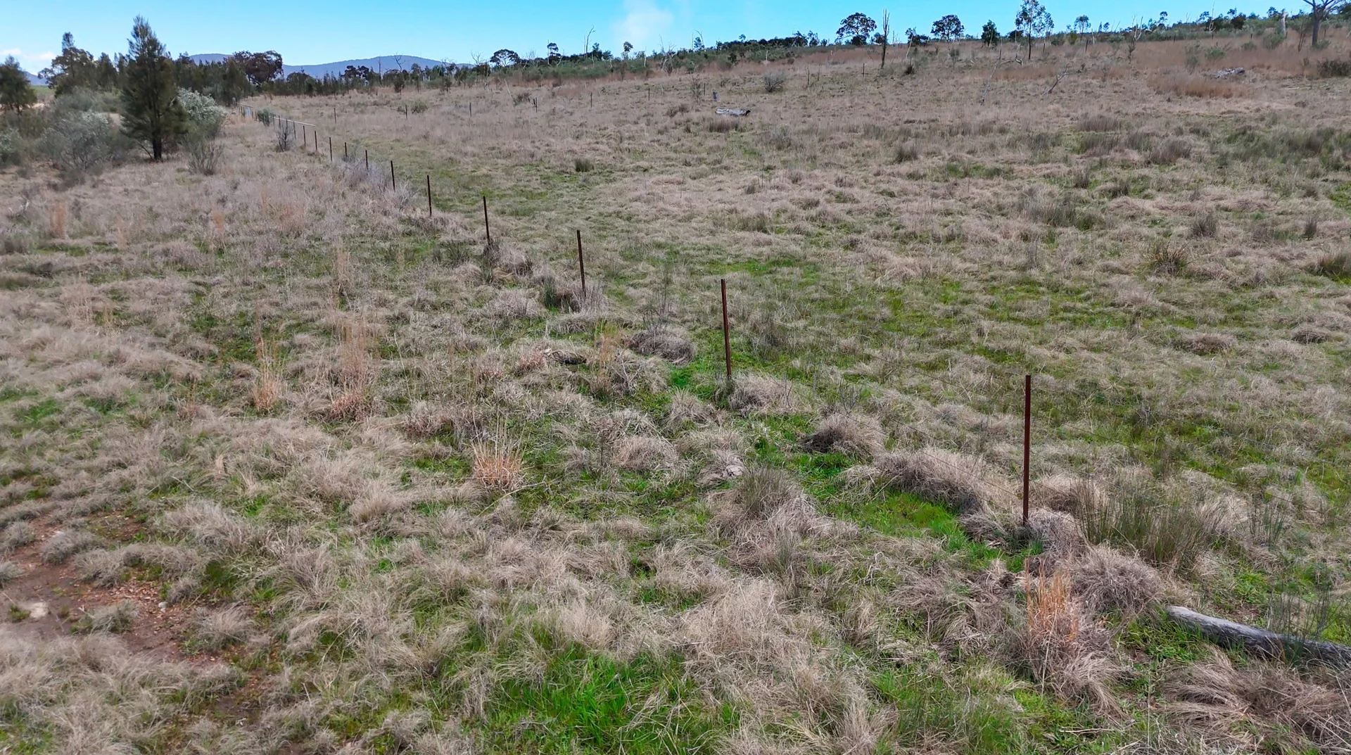 Additional image 5 of 94 Tarban Road, Tenterfield NSW 2372