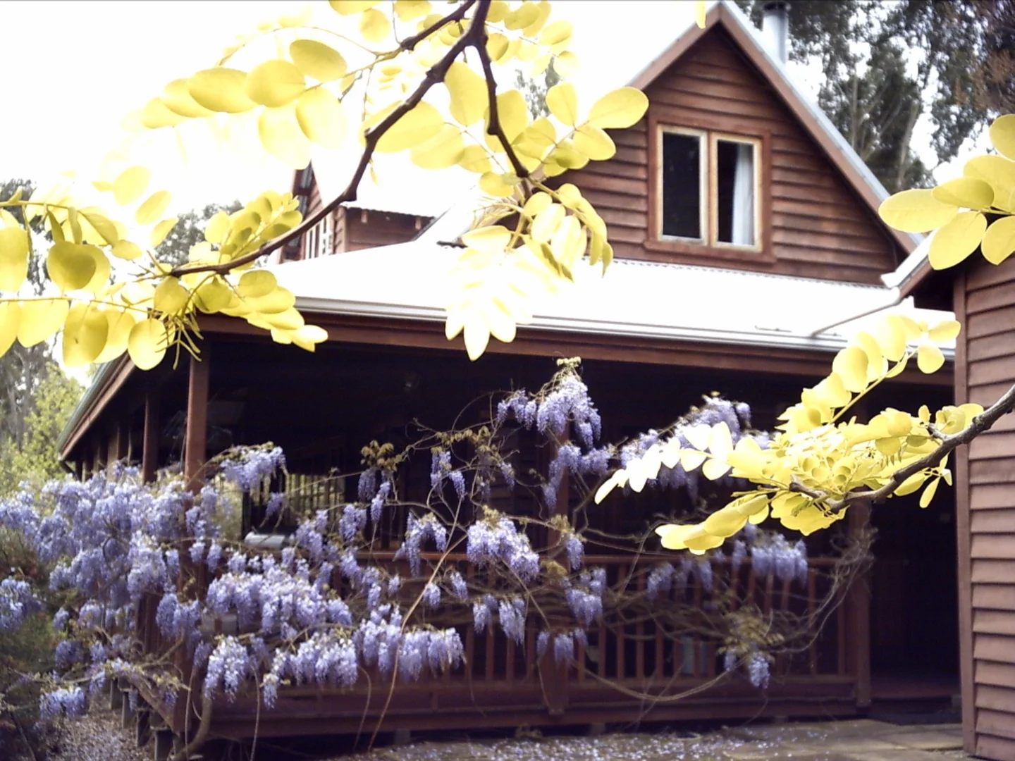 Additional image 10 of 2526 Nannup Balingup Road, Nannup WA 6275