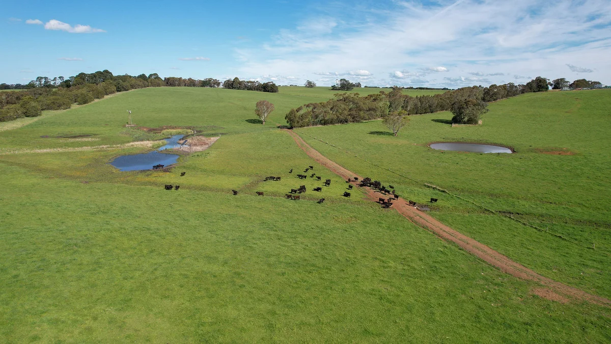 Additional image 9 of 137 Nareen Road, Konongwootong VIC 3315