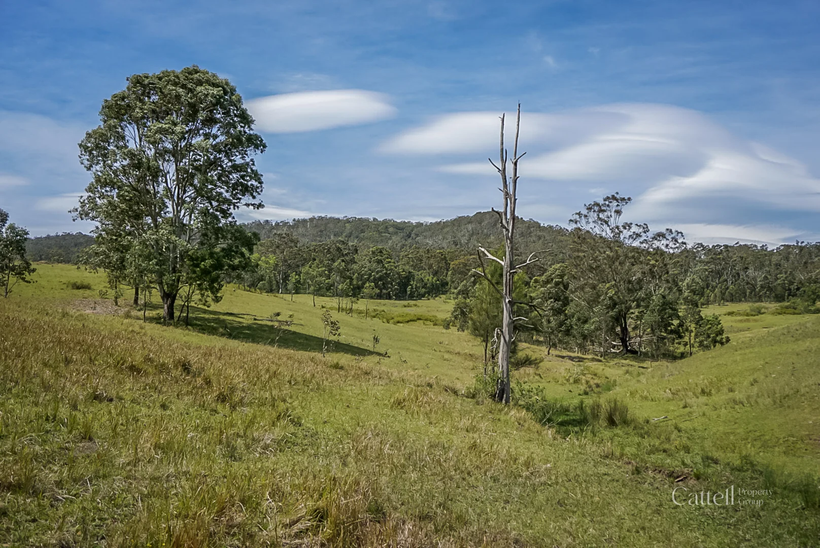 Additional image 26 of 60 Blue Bonnett Road, Lambs Valley NSW 2335