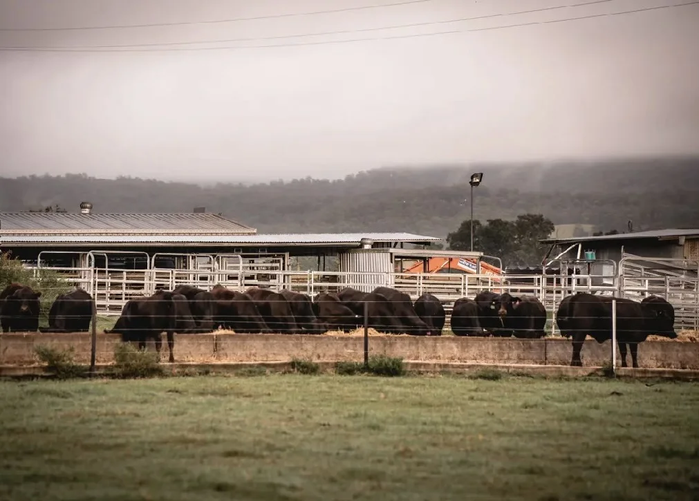 Additional image 8 of 119 Duck Creek Road, Old Bonalbo NSW 2469
