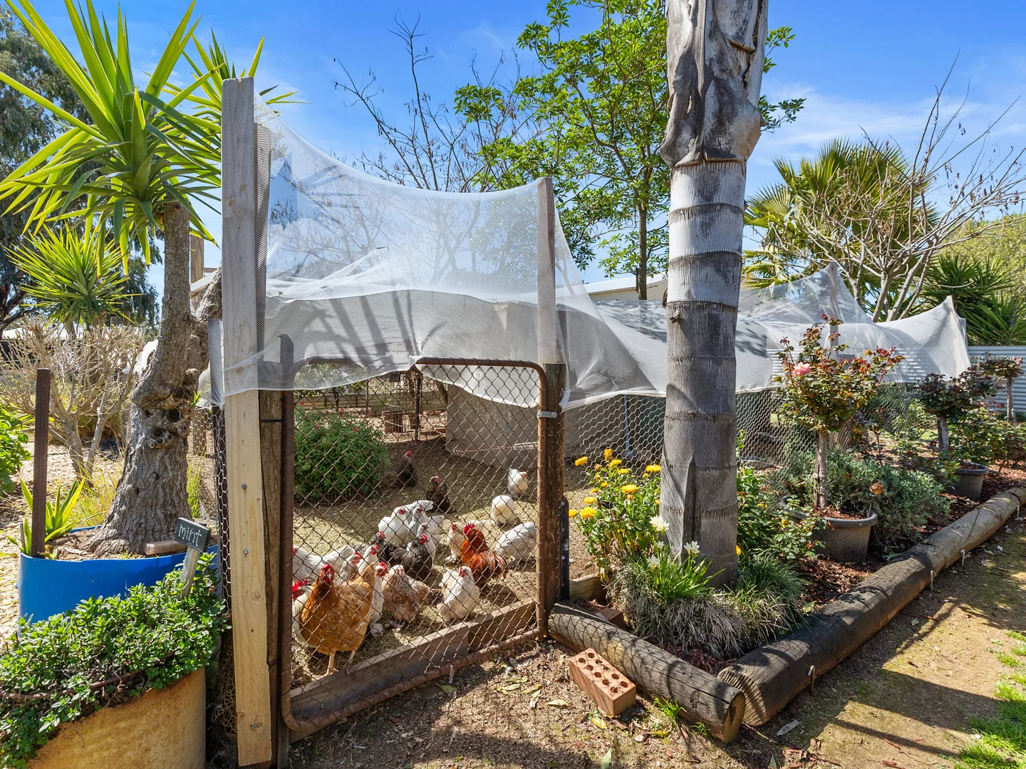 Additional image 25 of 33A Catona Cres, Cobram VIC 3644