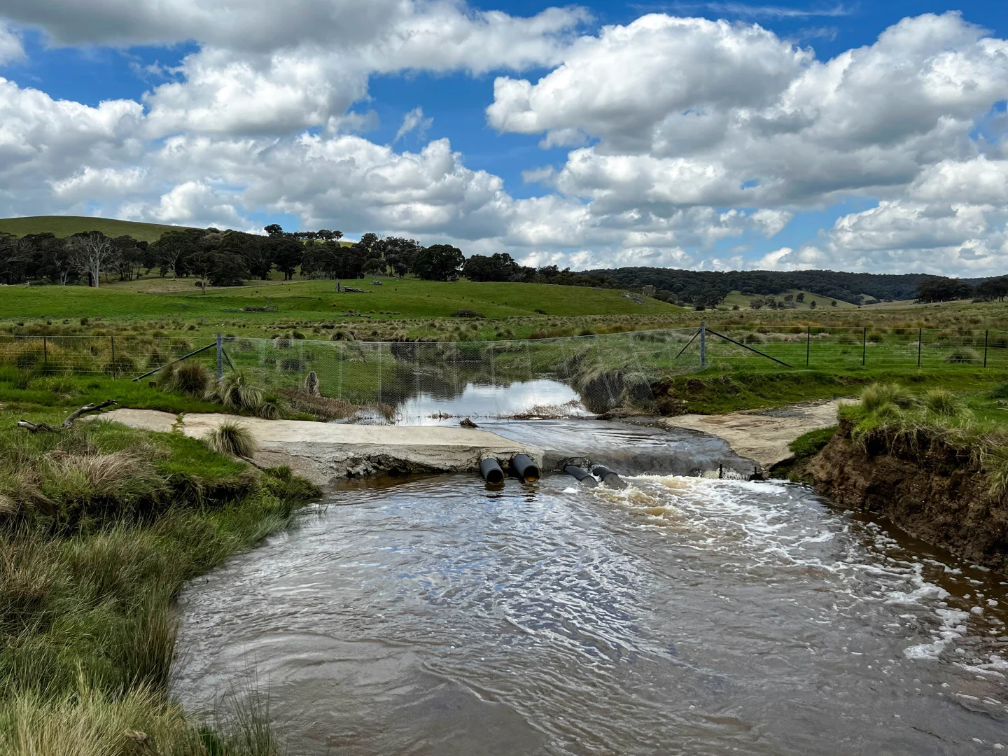 Additional image 7 of 674 Kangaloolah Road, Binda NSW 2583