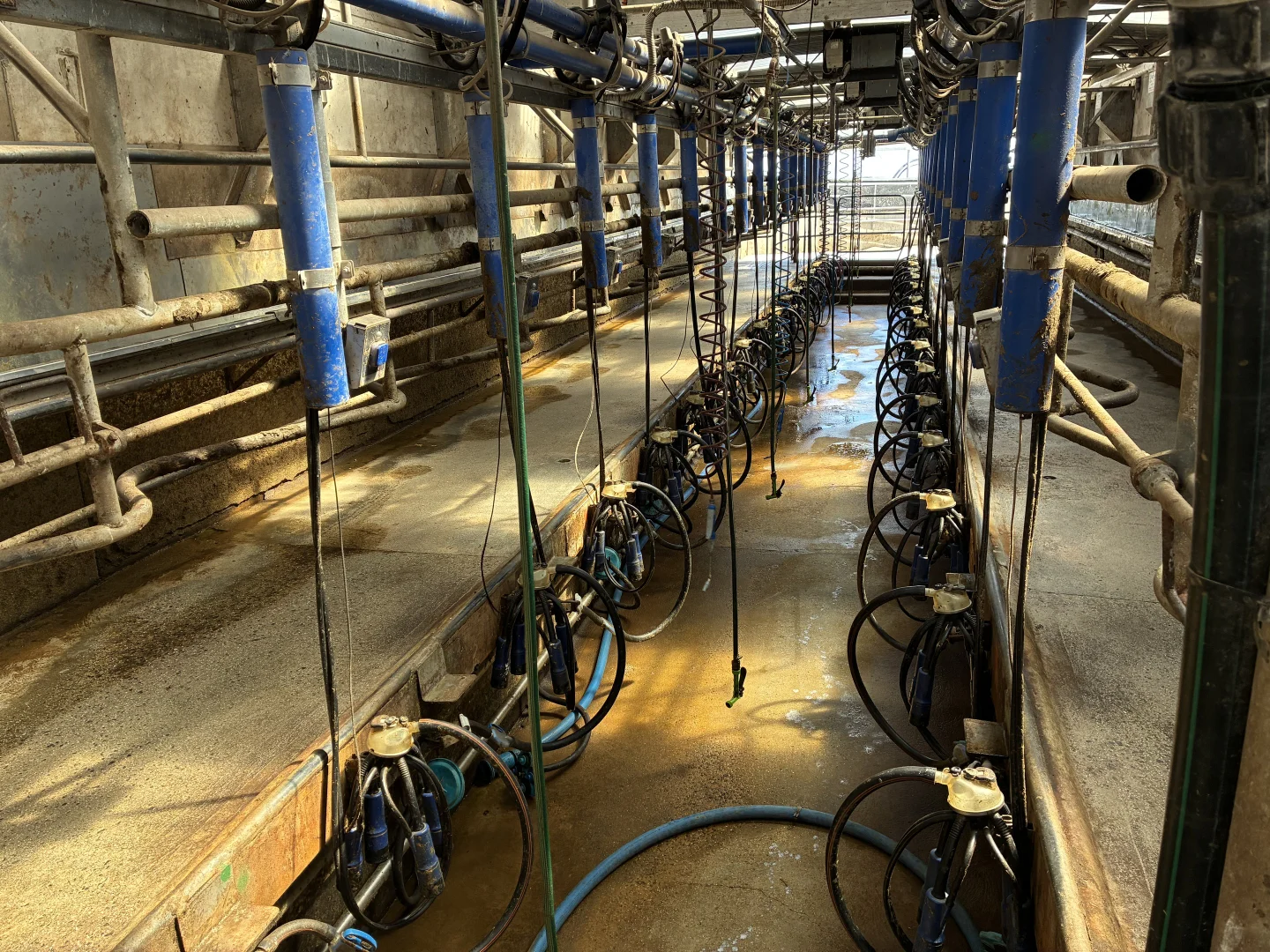 Additional image 7 of 129 & 131 Bens Hill Road, Montagu TAS 7330