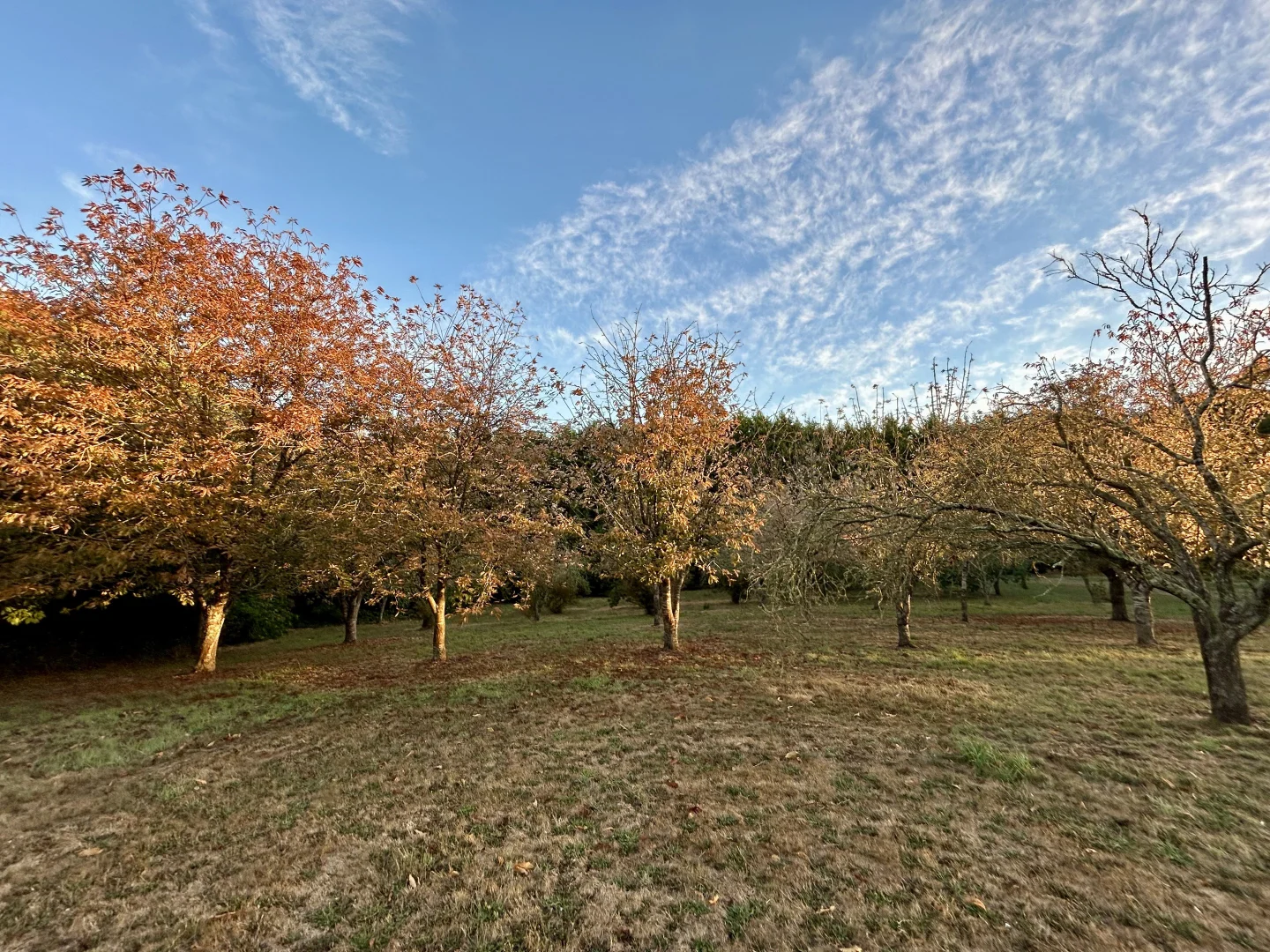 Additional image 23 of 640 James Lane, Trentham East VIC 3458