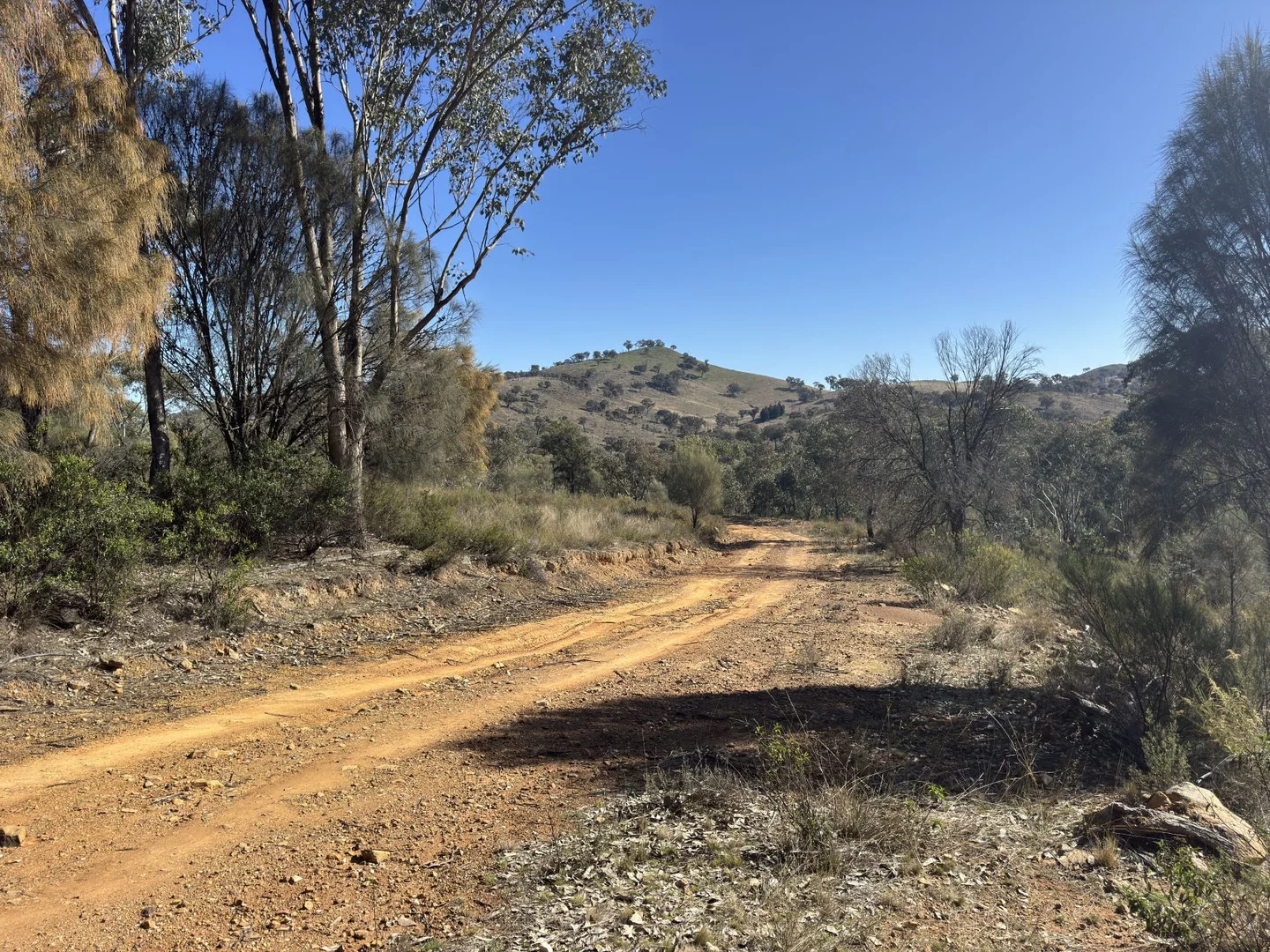 Additional image 5 of 206 Roberts Road, Mudgee NSW 2850