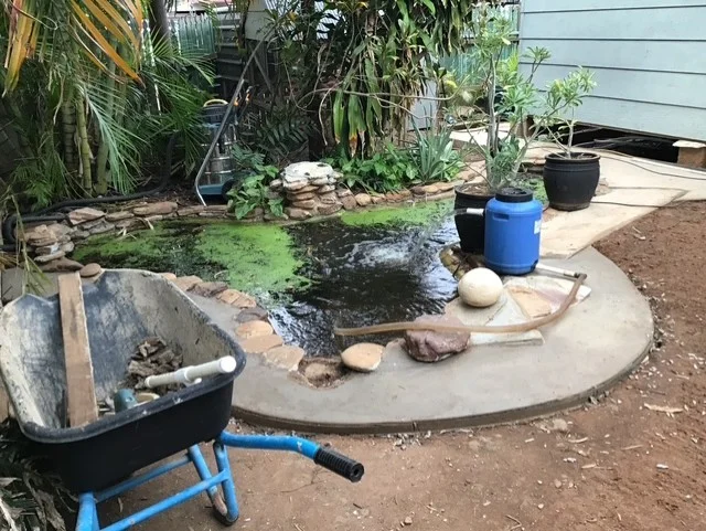 53 Hilary Street, The Gap QLD 4825