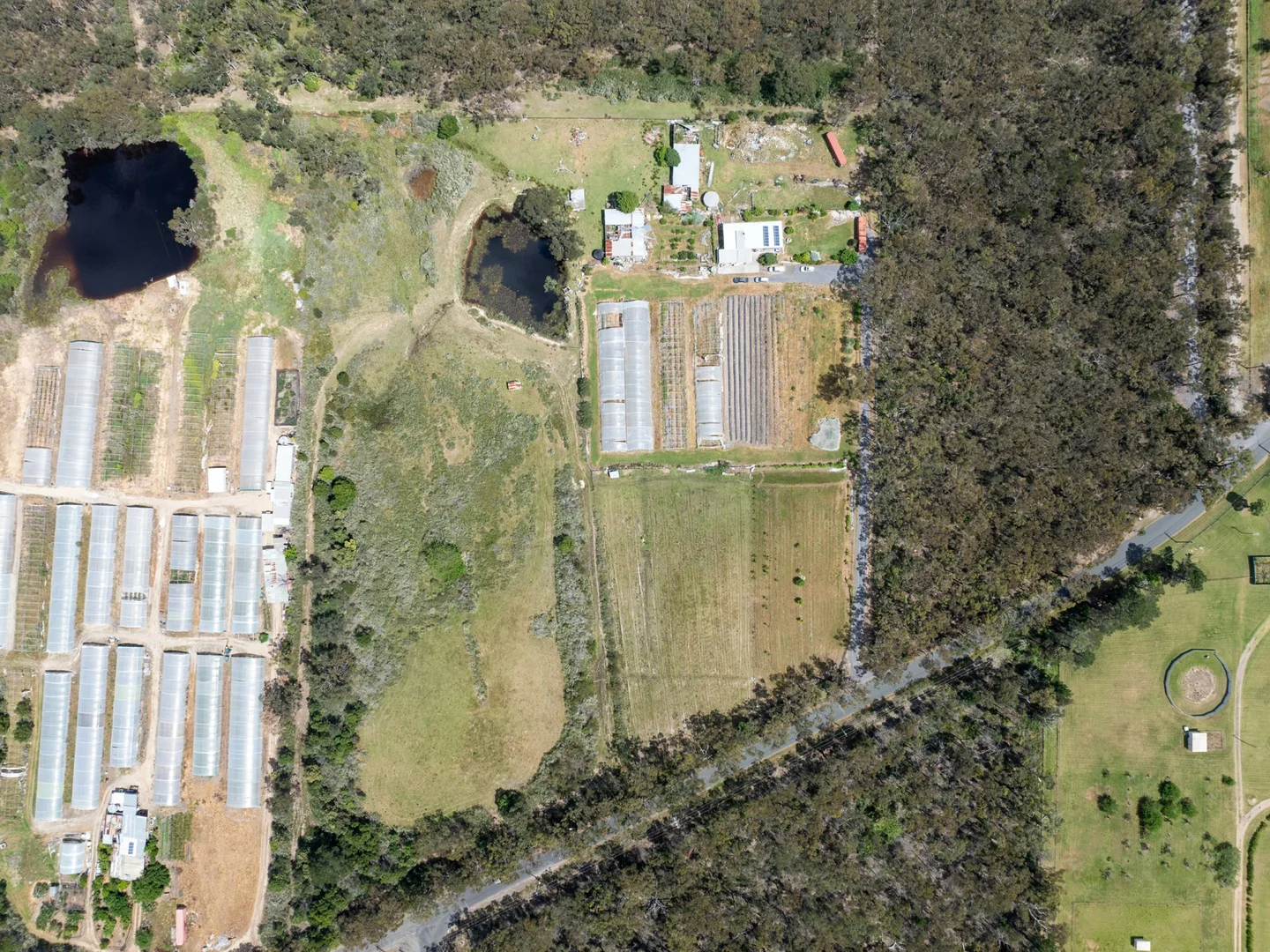 Additional image 14 of 222 Minerva Road, Wedderburn NSW 2560