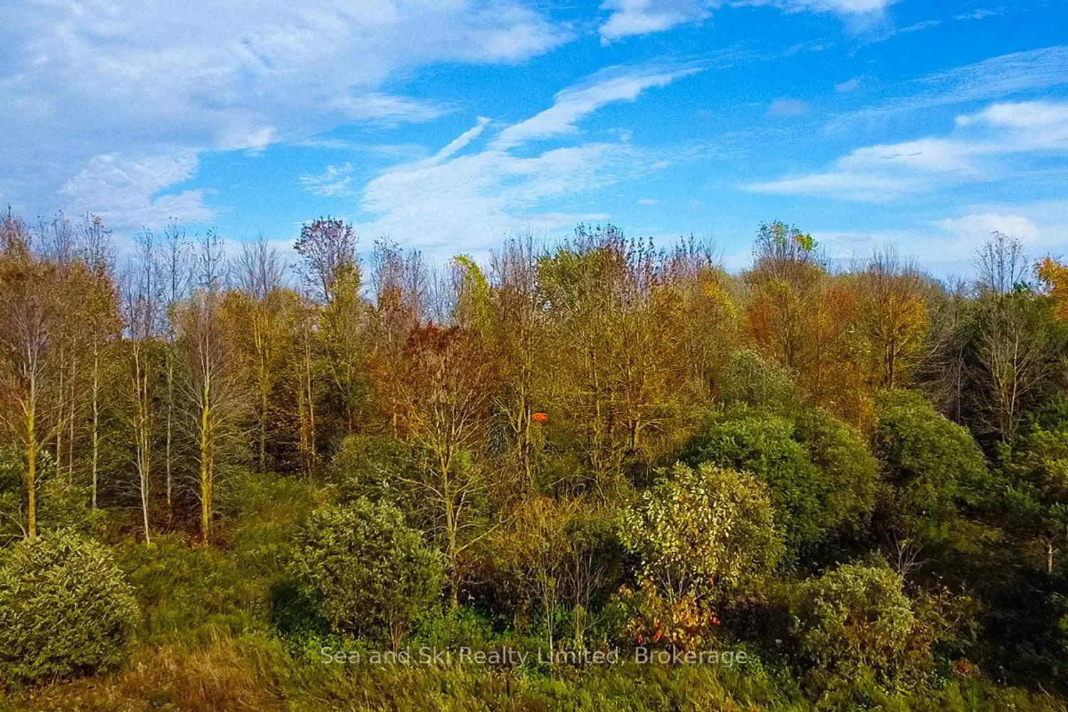 Additional image 5 of 31313 Grey Road 14 Road