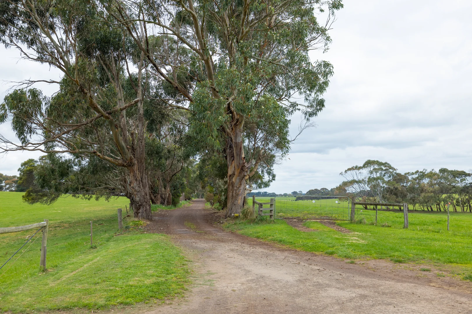 Additional image 21 of 115 Begleys Road, Allansford VIC 3277