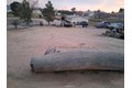 Additional image 46 of 18778 Valencia St, Hesperia, CA, 92345