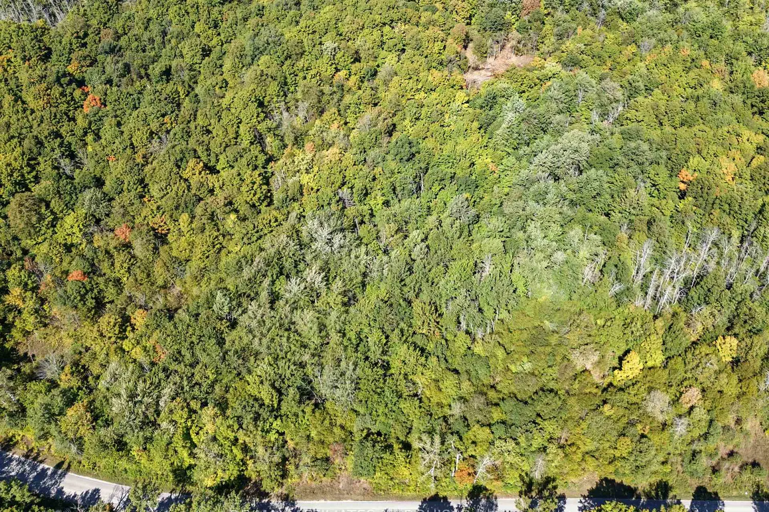310 Ebbs Bay Road photo 4