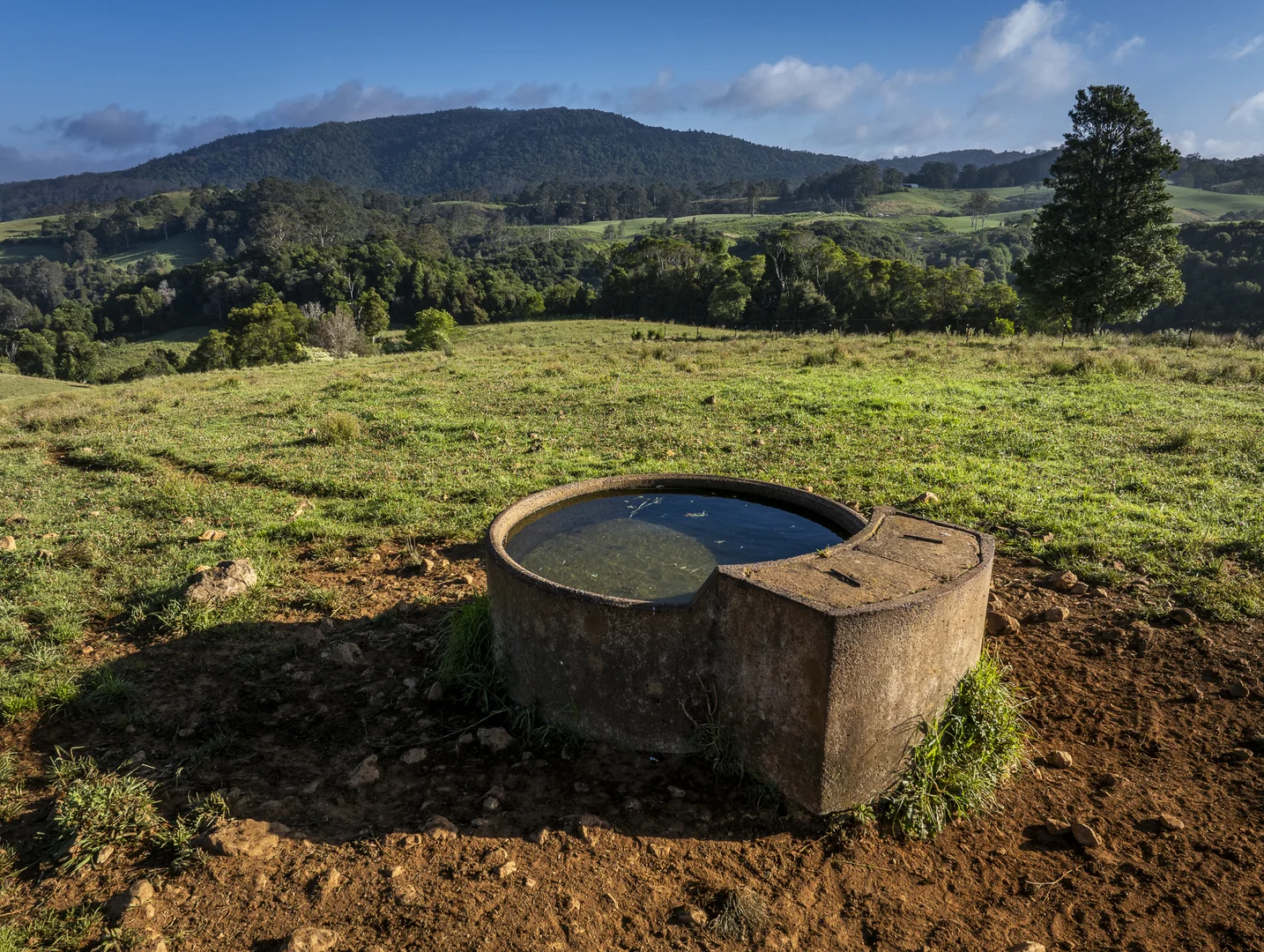 Additional image 25 of 294 Coramba Road, Dorrigo NSW 2453