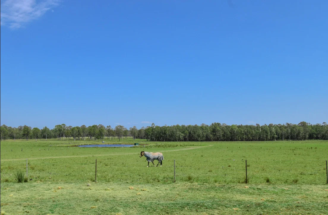 Additional image 37 of 769 Lagoon Road, West Coraki NSW 2471