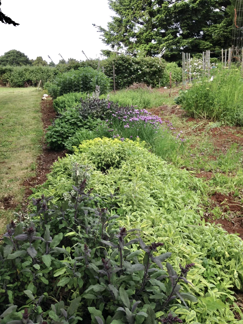 Additional image 25 of 150 Bergs Lane, Trentham East VIC 3458