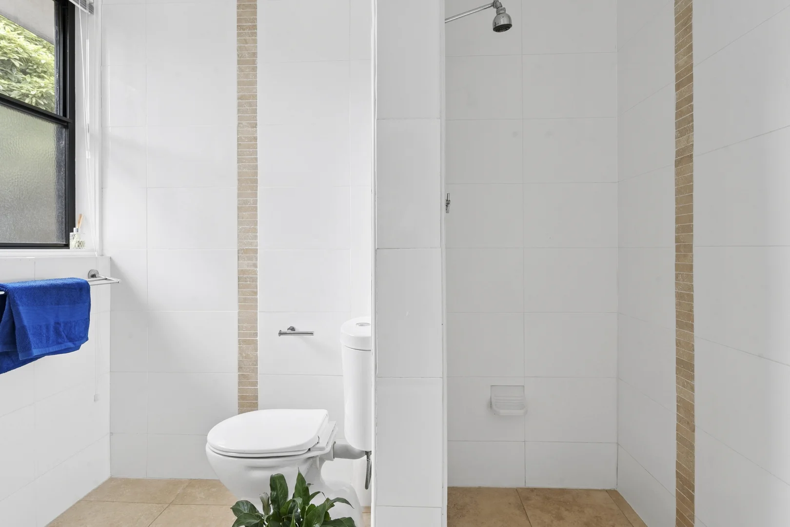 Additional image 18 of 218 Dryandra Street, O'Connor ACT 2602