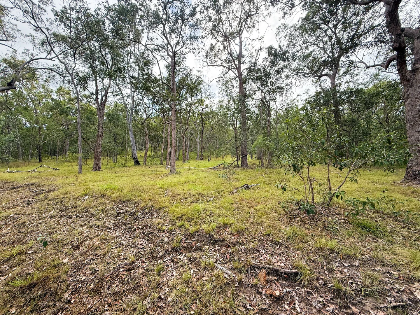 Additional image 25 of Lot 10/931 Nearum Road, Nearum QLD 4671
