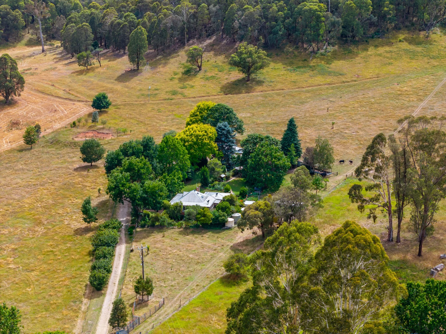 Additional image 34 of 585 Kancoona South Rd, Kancoona VIC 3691