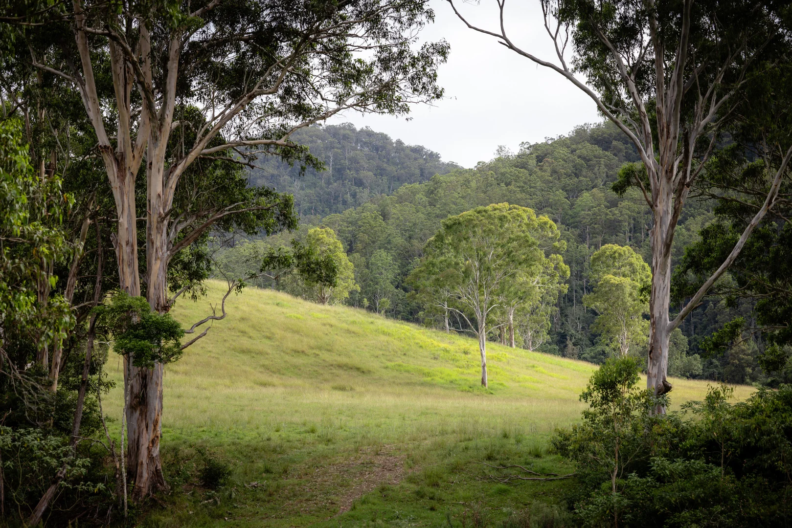 Additional image 22 of 382 Norwood Lane, Mount George NSW 2424