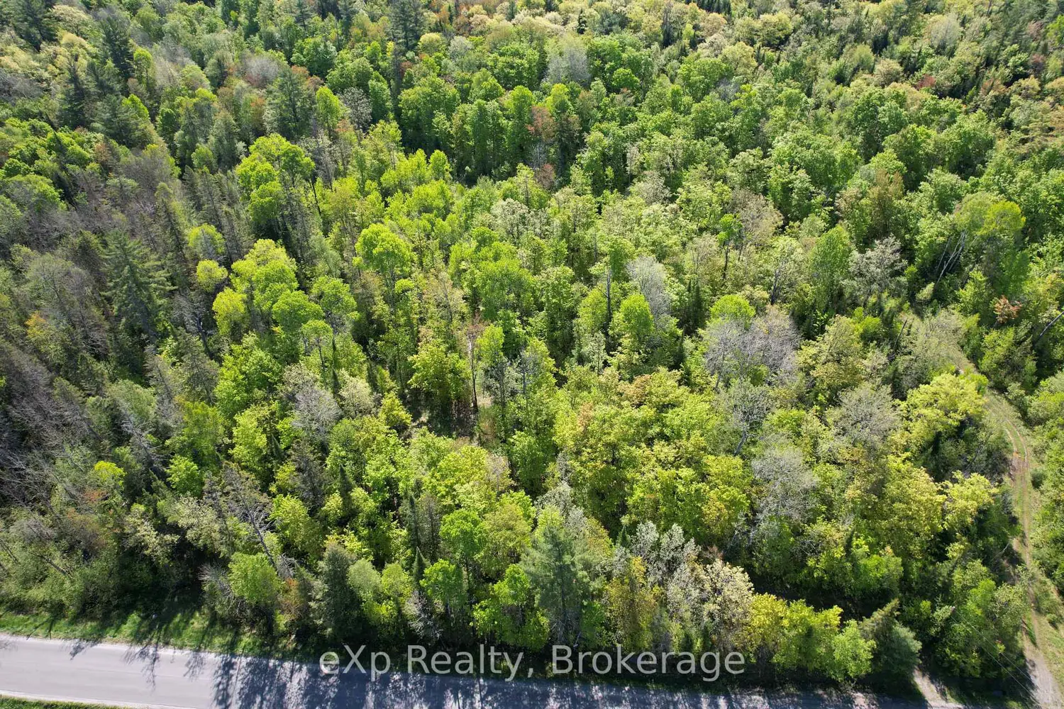 Additional image 3 of Pt Lt 21 Centre Road