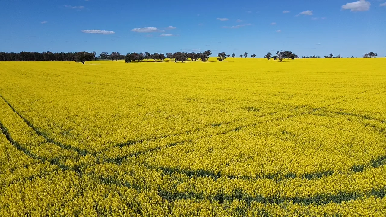 Additional image 11 of 2 Coolamon Road, Coolamon NSW 2701