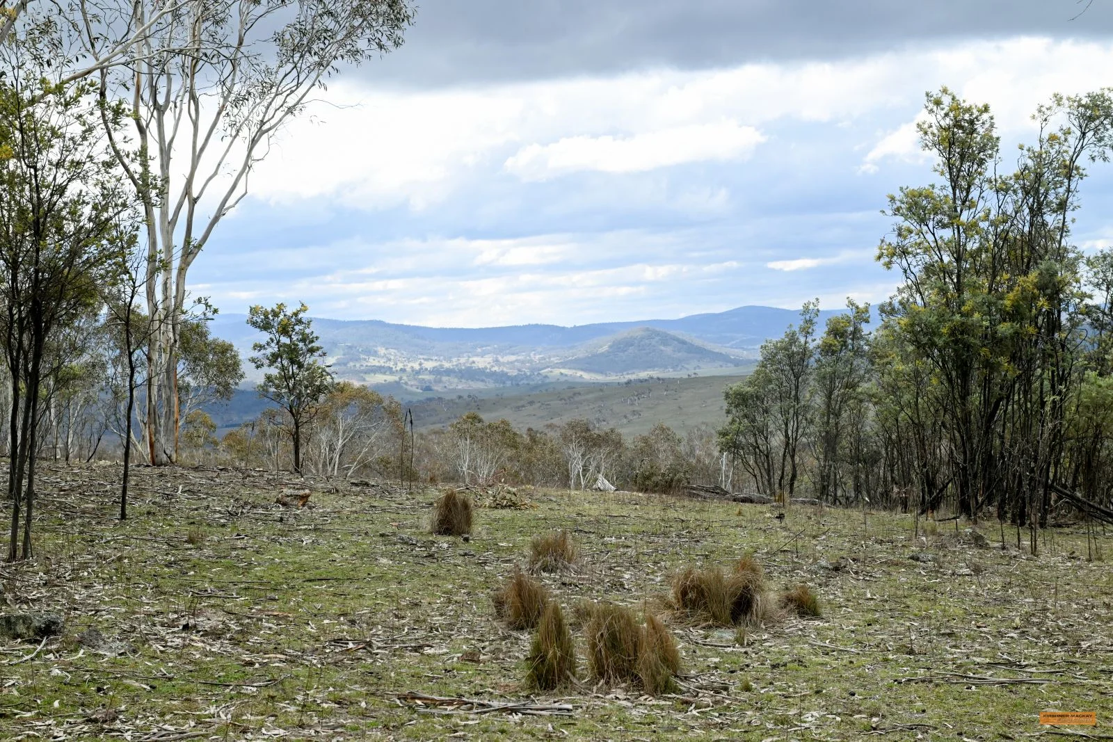 Additional image 11 of "Eagle Heights" 636 Caddigat Road, Dry Plain NSW 2630