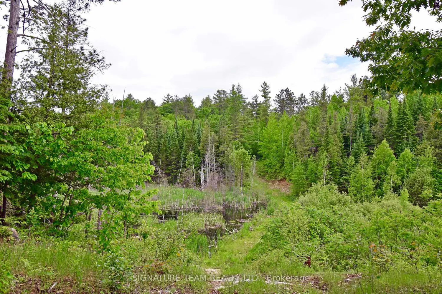 Additional image 9 of 455 Passaw Road