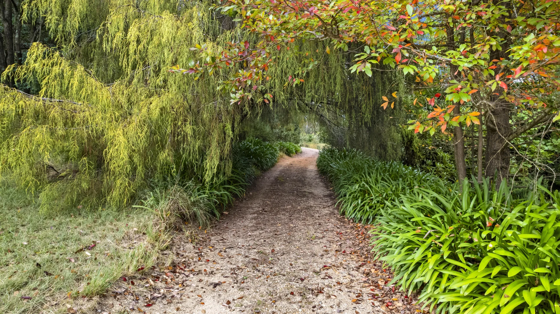 Additional image 5 of 222 Coxs River Road, Little Hartley NSW 2790