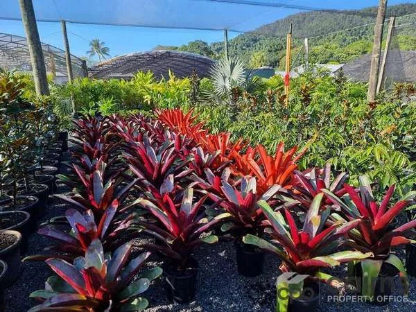 Additional image 3 of 15 Ross Road, Deeral QLD 4871