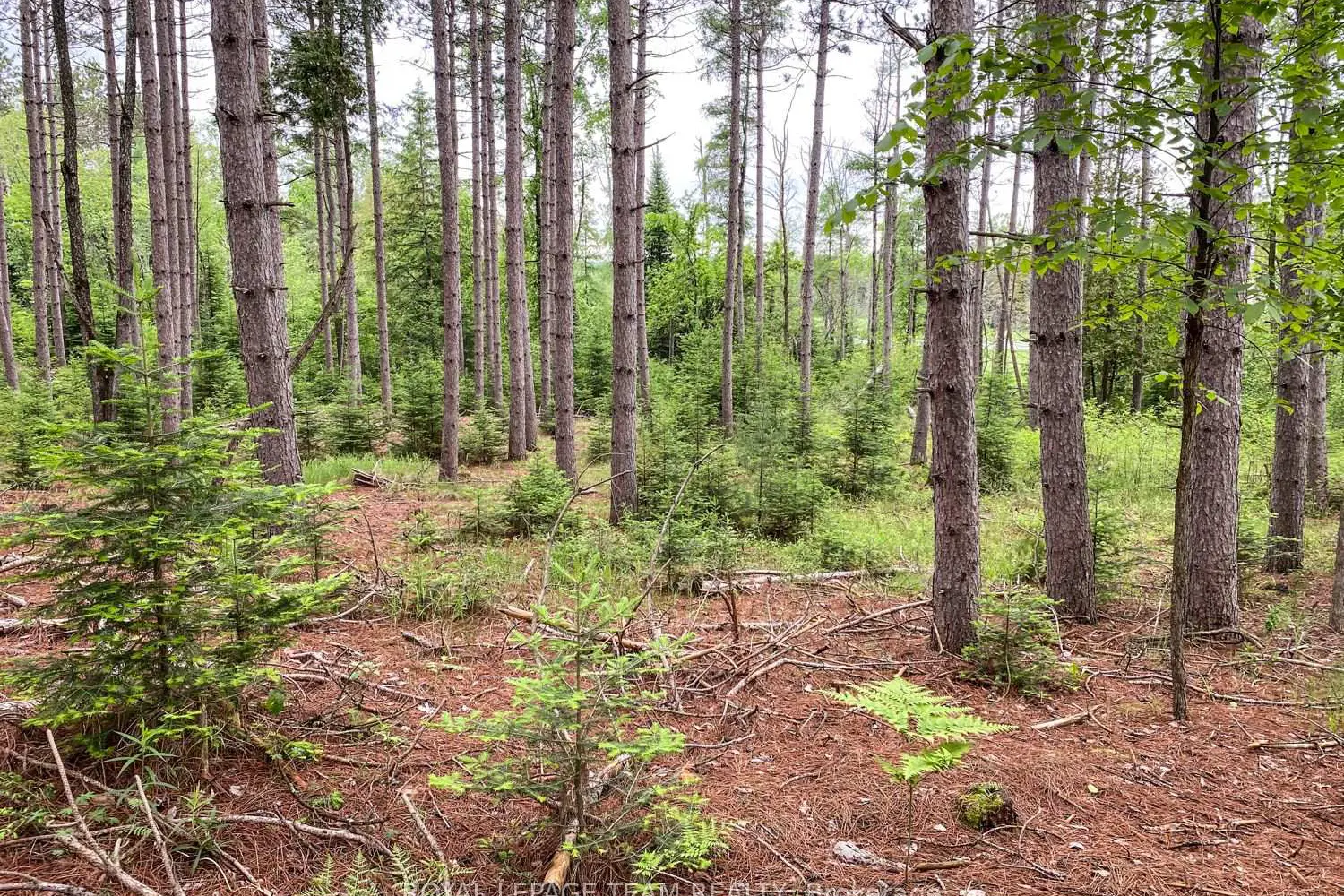 Additional image 7 of 1477 Watsons Corners Road