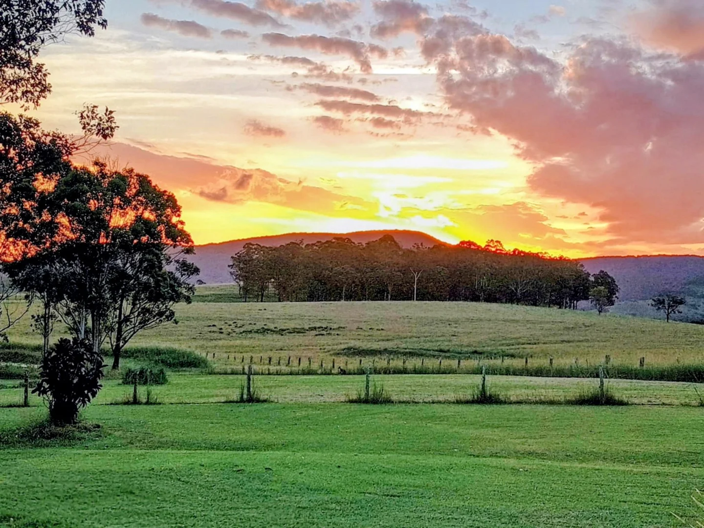 Additional image 34 of 427 Markwell Back Road, Bulahdelah NSW 2423