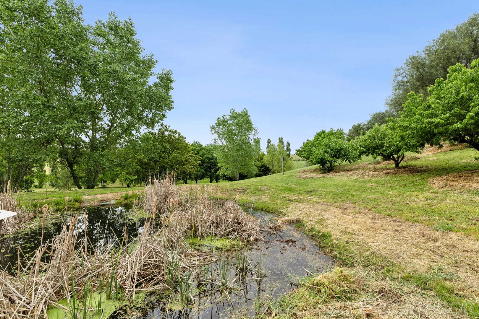 Additional image 23 of 185 Clunes Mt Cameron Road, Clunes VIC 3370