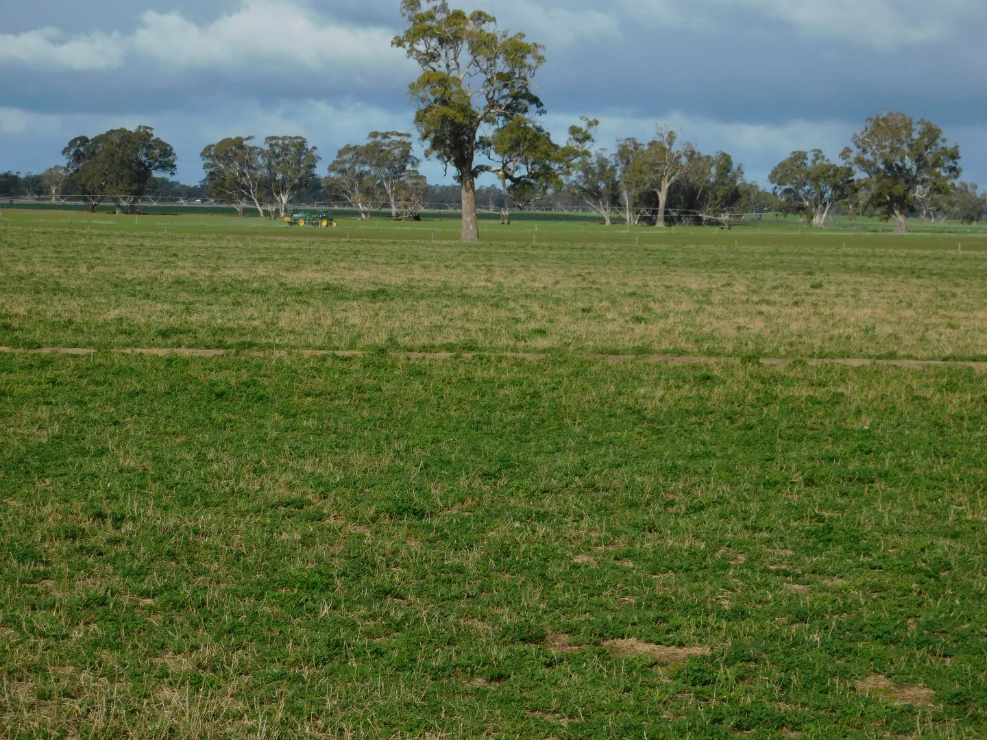 Additional image 15 of 16472 Dukes Hwy, Bordertown SA 5268