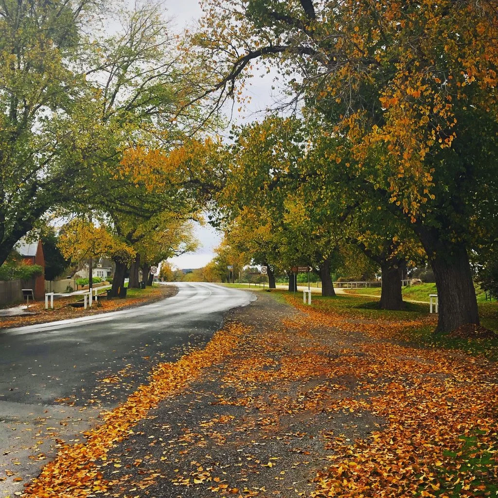 Additional image 3 of 30 Lowther Street, Maldon VIC 3463