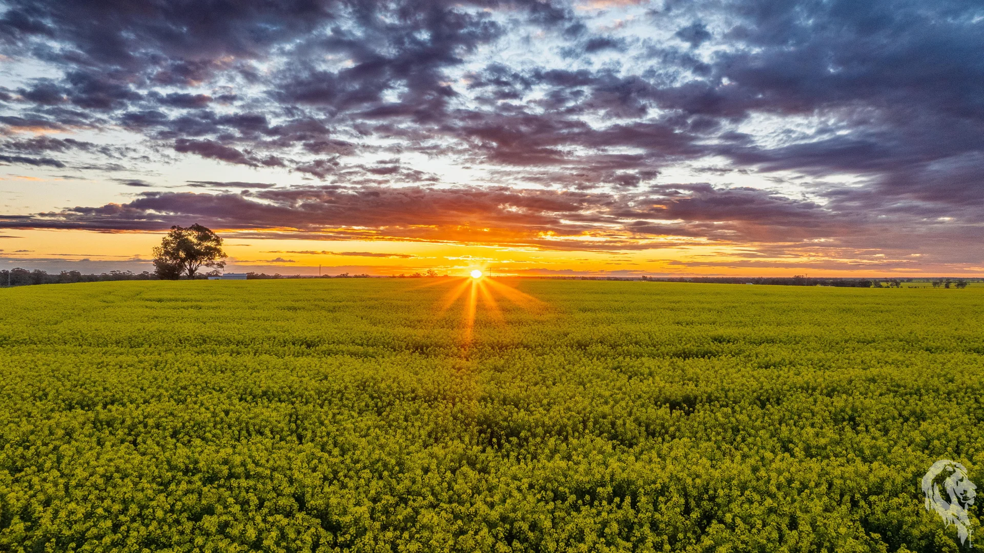 Additional image 10 of 13012 Newell Highway, Narrabri NSW 2390