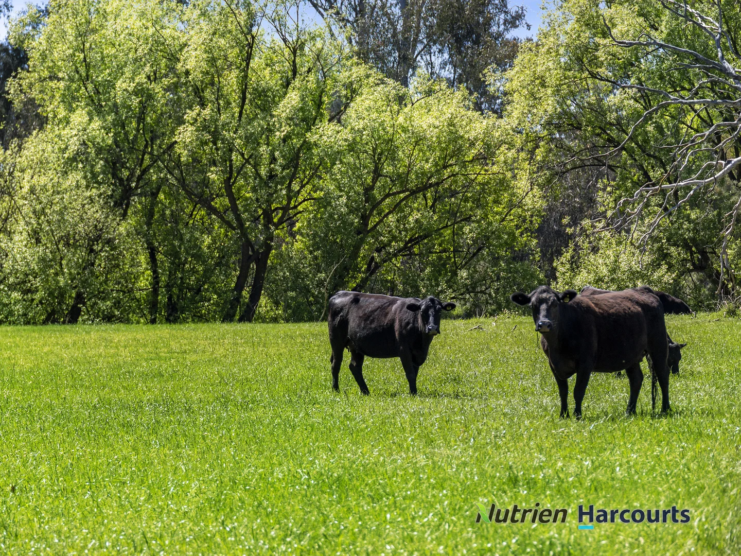 Additional image 24 of 26 Baynes Road, Molesworth VIC 3718