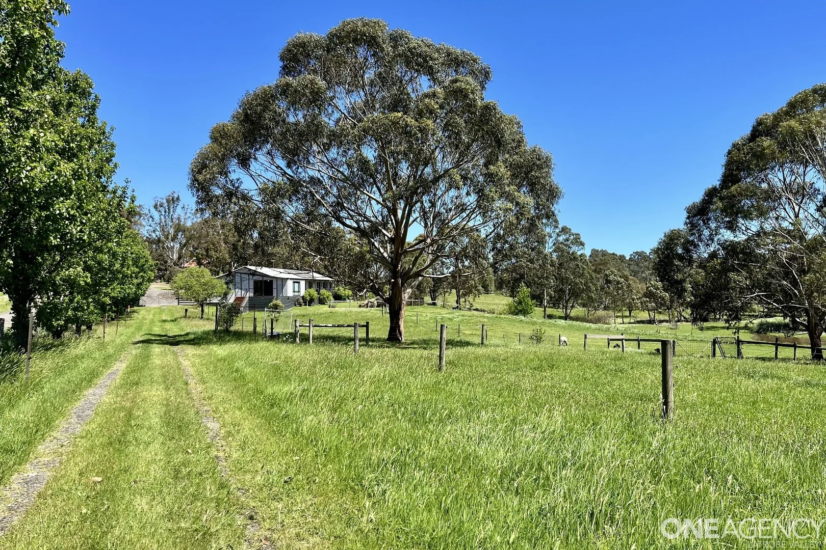 Additional image 3 of 40 Larnach Road, Traralgon VIC 3844