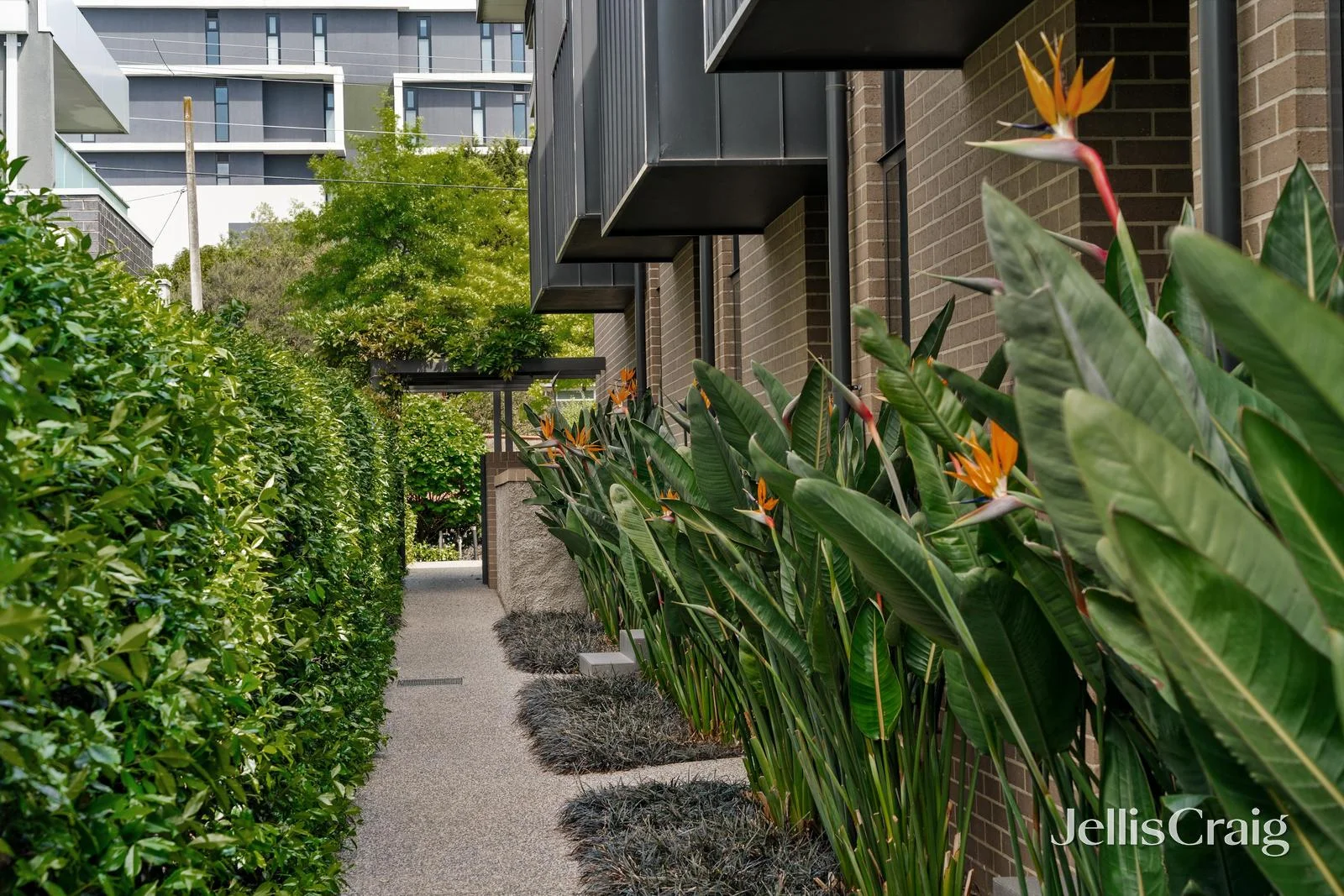 Additional image 3 of 6/146 Thames Street, Box Hill North VIC 3129