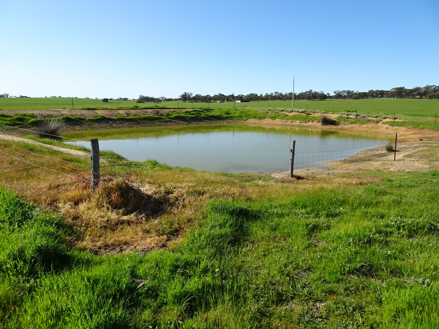 Additional image 11 of 140 Yenellin Road, Pingelly WA 6308