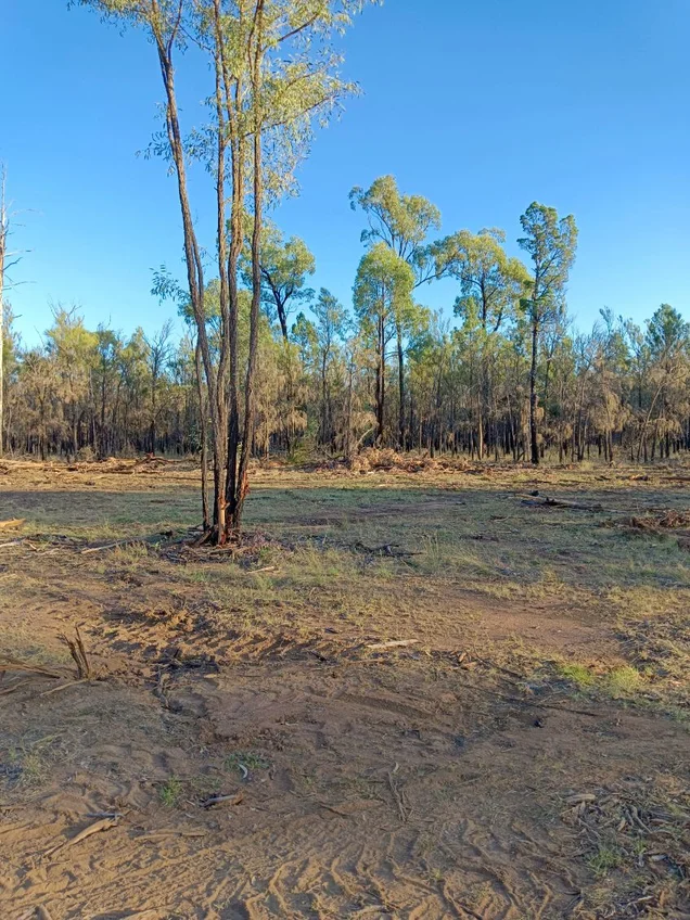 Additional image 6 of Lot 348 Butterfly Road, Tara QLD 4421