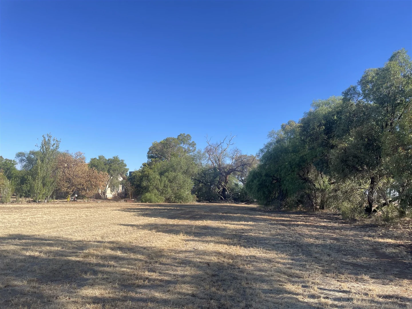 Additional image 29 of 67 Earls Road, Berrigan NSW 2712