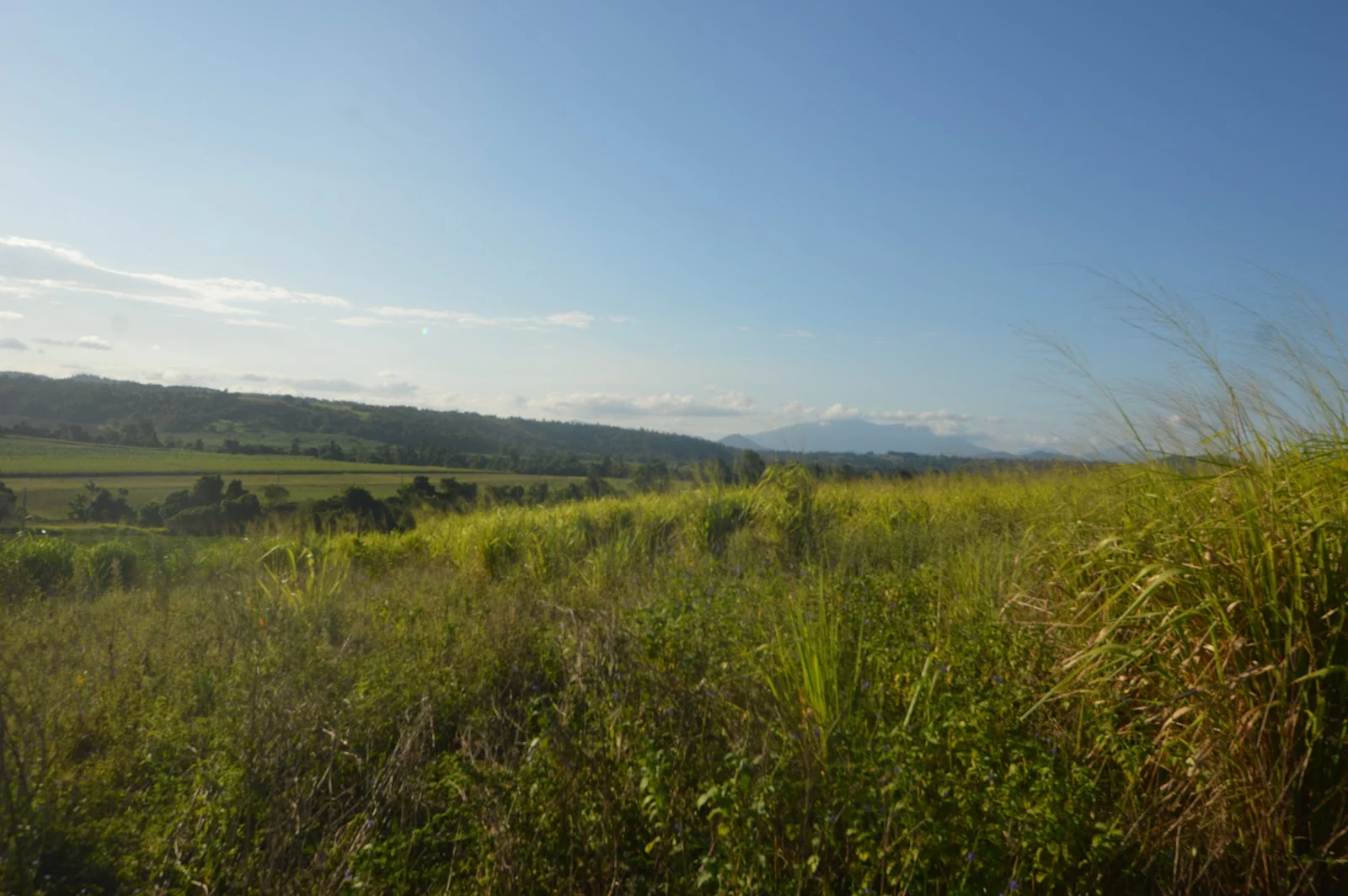 Additional image 22 of 1212 Innisfail Japoon Road, Camp Creek QLD 4871