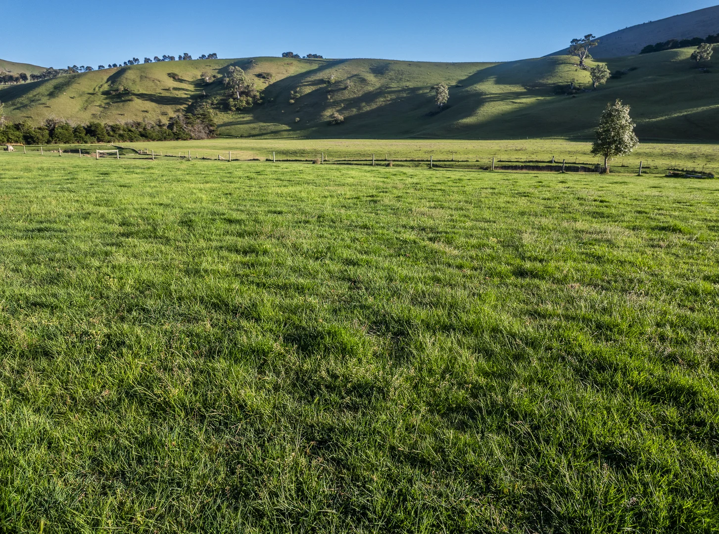 Additional image 25 of 1578 Bindi Road, Bindi VIC 3896