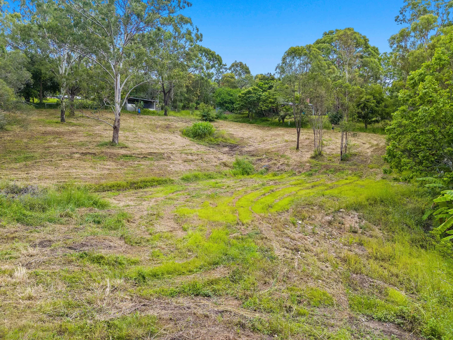 Additional image 4 of 18 Mewsdale Row, Tallai QLD 4213